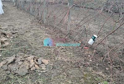 Teren de 500 mp, în Sfântu Ilie - 1