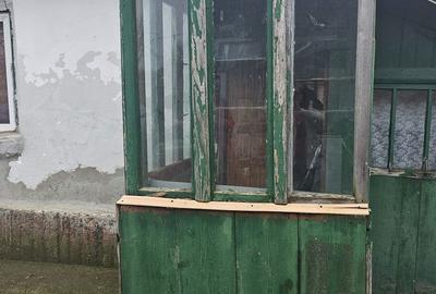 Casă cu 5 camere cu Teren 1964 Mp în Vâlcelele - 15