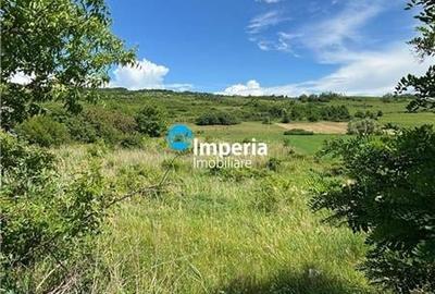 Teren pt case 2000 mp, asfalt, Balciu Miroslava - 1