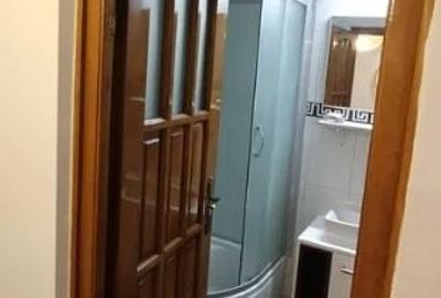 Garsonieră decomandată, mobilată în Nerva Traian - 3