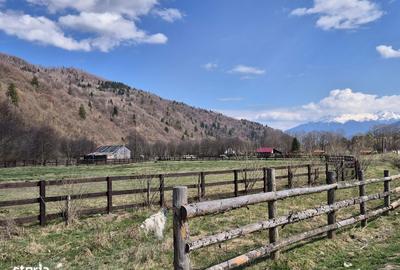 Spațiu comercial, în Plaiul Foii - 15