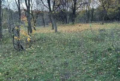 Teren de 2050 mp, în Izvoarele - 4