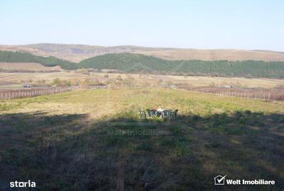 Teren de 10800 mp, în Căpușu Mare