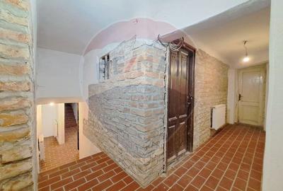 Spatiu comercial-Demisol-Atelier de arta - 10