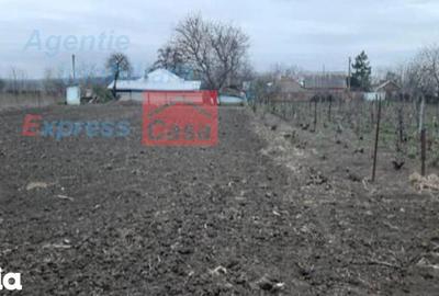 Teren de 3000 mp, în Prisăcani - 6