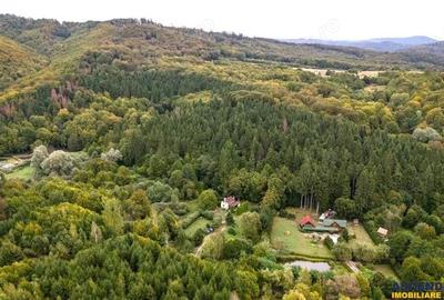 Casă cu Teren 2100 Mp în Central