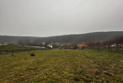 Teren de 1998 mp, în Central - 3