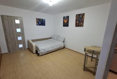 FAVORIT, proaspat renovata - 5