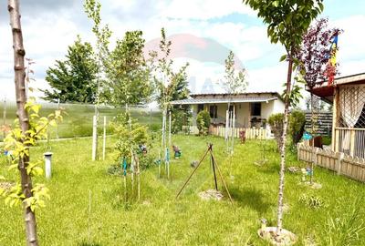 Casă individuală cu 3 camere cu Teren 550 Mp în Cosoba - 60