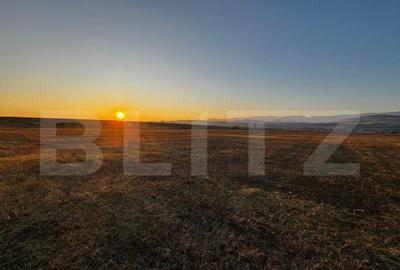 Teren intravilan 780mp, zona Parto? - Alba Iulia - 7