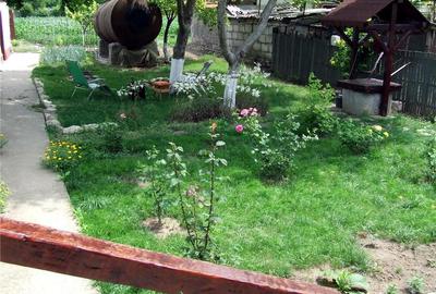 Casă cu 5 camere cu Teren 3610 Mp în Central - 3