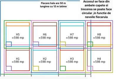 Teren Construcții intravilan de 10000 mp, în Dobroești - 2