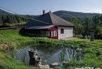 De vanzare pensiune in Com Tasca, Teren 3800 mp, toate utilitatile, 204.990 euro - 19