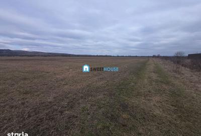 Teren de 20200 mp, în Central - 2