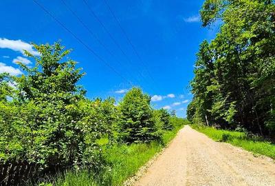 Teren intravilan Cotmeana Arges - 1