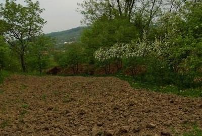 6000 mp Teren intravilan, Comuna Ion Creanga, Jud. Neamt - 4