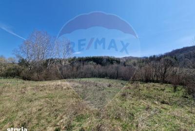 Teren de 9428 mp, în Mărgineni - 3