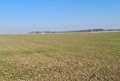 Proprietar vand teren in com. 1 Decembrie - 2