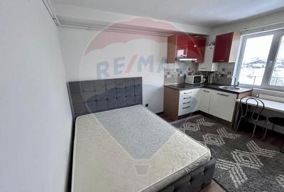 Apartament cu 1 camere nedecomandat, mobilat în Săsar - 2