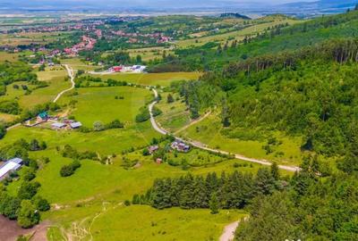 Teren de 7400 mp, în Tărlungeni - 5