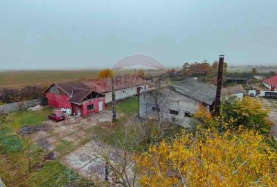 Teren 7500mp și construcții de vânzare, Tilecuș - 1