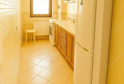 Garsonieră decomandată în Tei - 8