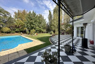 Vila individuala, teren 3000 mp, Iancu Nicolae - 2