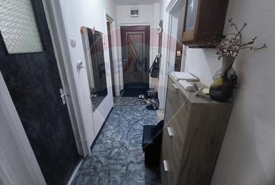 Apartament cu 3 camere decomandat, mobilat în Micălaca - 11