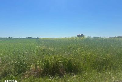 Teren de 500 mp, în Vidra