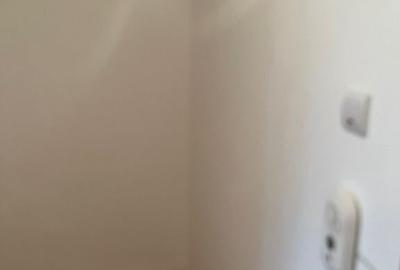 Apartament cu 2 camere nedecomandat în Tineretului