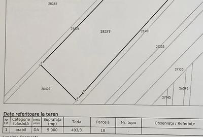 Teren de 5000 mp, în Dridu - 1
