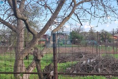 Teren de 1600 mp, în Haliu - 1