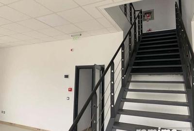 Spatiu de depozitare si productie Mogosoaia - 10