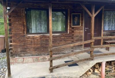 Casă cu 3 camere cu Teren 2000 Mp în Peleș - 3