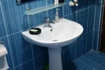 Proprietar, 2 camere decomandate, Dimitrie Leonida 300 euro - 7