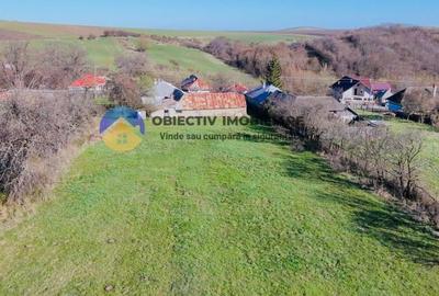 CASA traditionala BODESTII DE JOS - 5