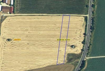 Vanzare teren 7500 mp Snagov, langa Clubului de Echitatie Equestria - 4