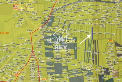 Teren agricol extravilan de 4900 mp, în Exterior Vest - 3