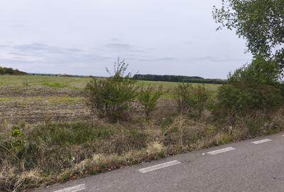 Teren extravilan 9113 mp in apropierea drumului E85 - 7