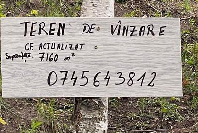Spațiu comercial, în Plopi - 5