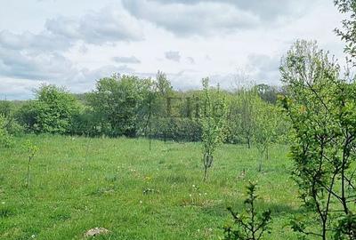 Casă cu 4 camere în Gurbediu - 11