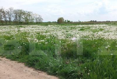 Teren intravilan de vanzare, 652 mp, in Vetis - 1