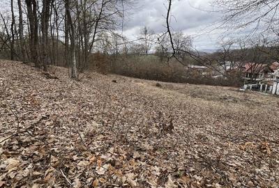 Spațiu comercial, în Făget - 4