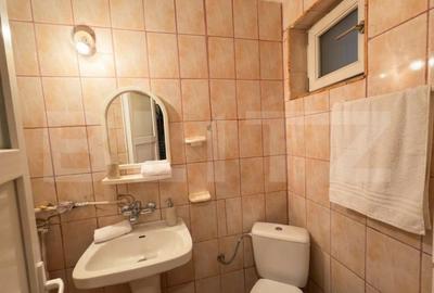 Apartament cu 2 camere semidecomandat, mobilat în Valea Rosie - 6