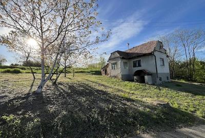 Casă cu 2 camere cu Teren 2500 Mp în Berghin - 2