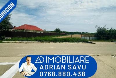 Teren de vanzare in Dane?ti, Sasa 8 km de Targu-Jiu - 1
