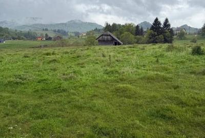 Teren extravilan de vânzare – 9.232 mp – Șirnea, Fundata, Brașov 🏞️ - 2