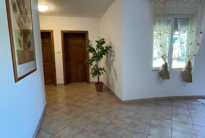 Casă individuală cu 4 camere cu Teren 2514 Mp în Bucoșnița - 5