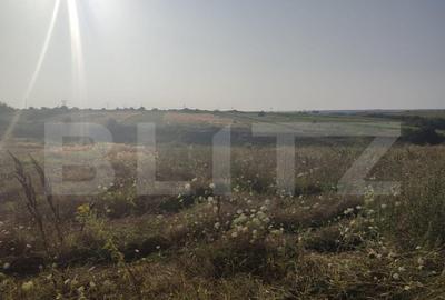 Teren intravilan 5000 mp deschidere 17 ml la DN65 , zona Qfo - 3