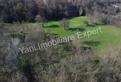 Teren 13.643 mp intravilan de vanzare in Curtea de Arge?. - 2